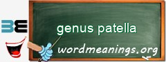 WordMeaning blackboard for genus patella